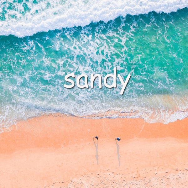 Sandy - Single album cover