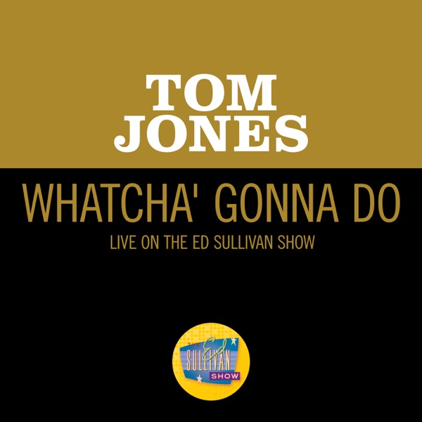 Whatcha' Gonna Do (Live On The Ed Sullivan Show, June 13, 1965) - Single album cover