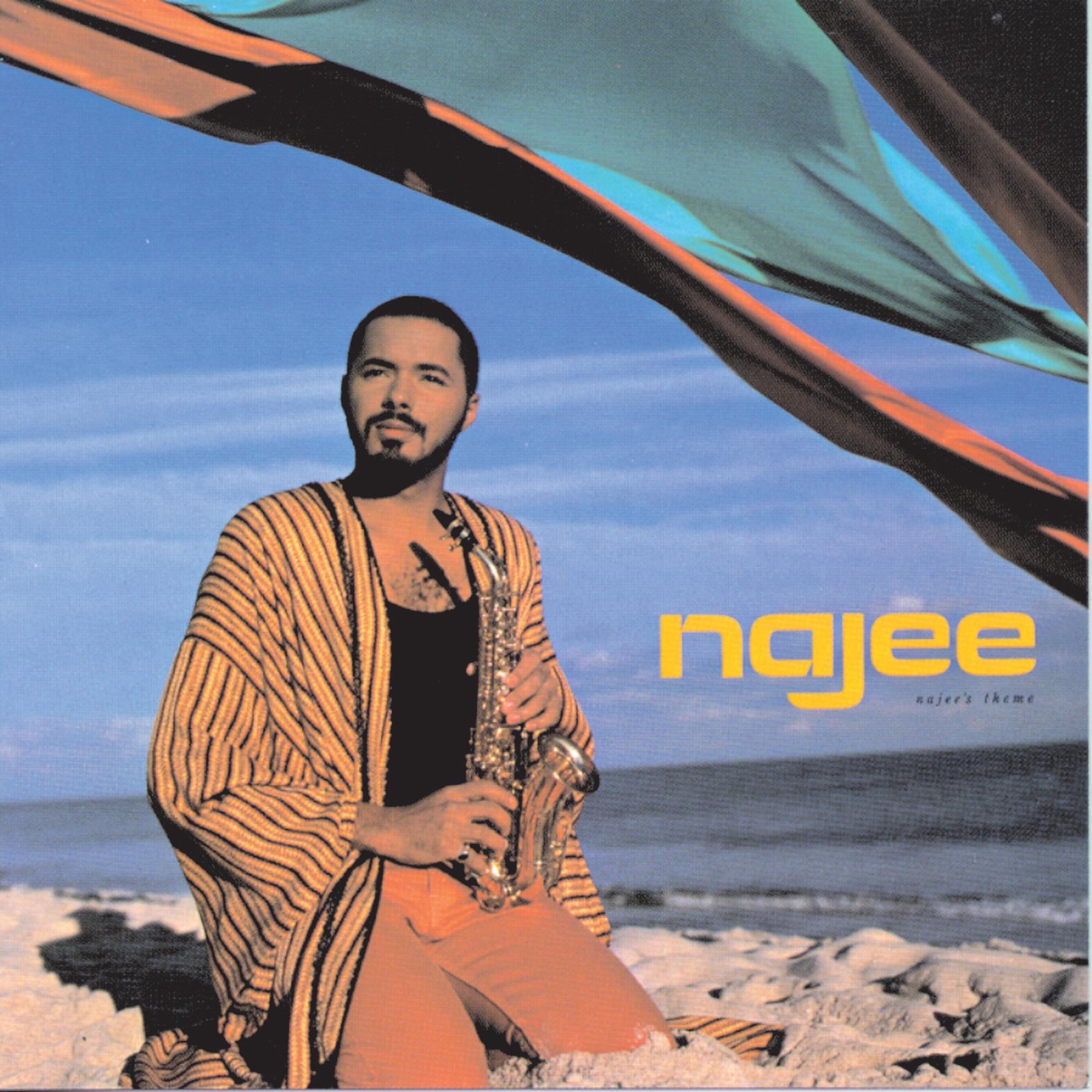 Najee's Theme album cover