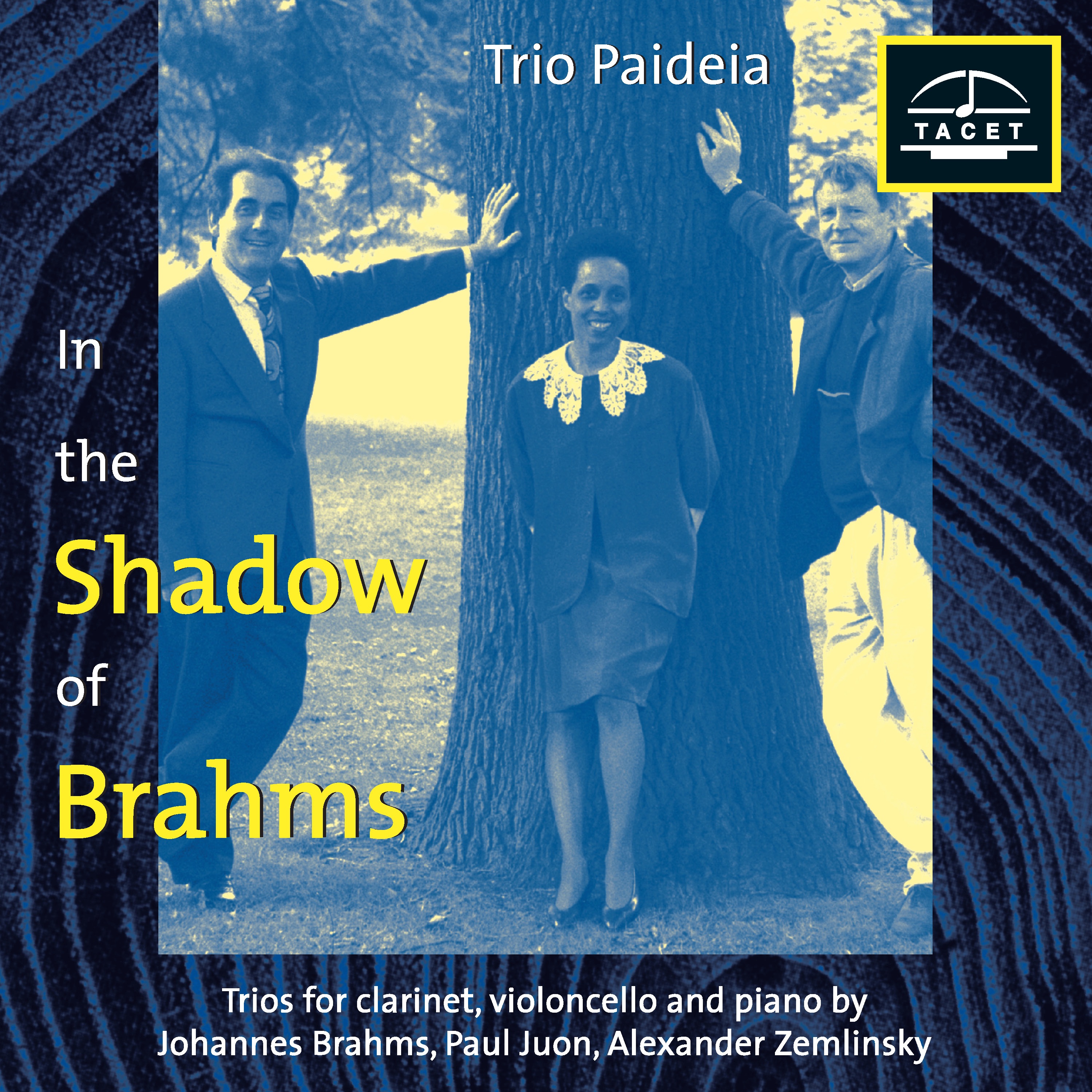 In the Shadow of Brahms album cover