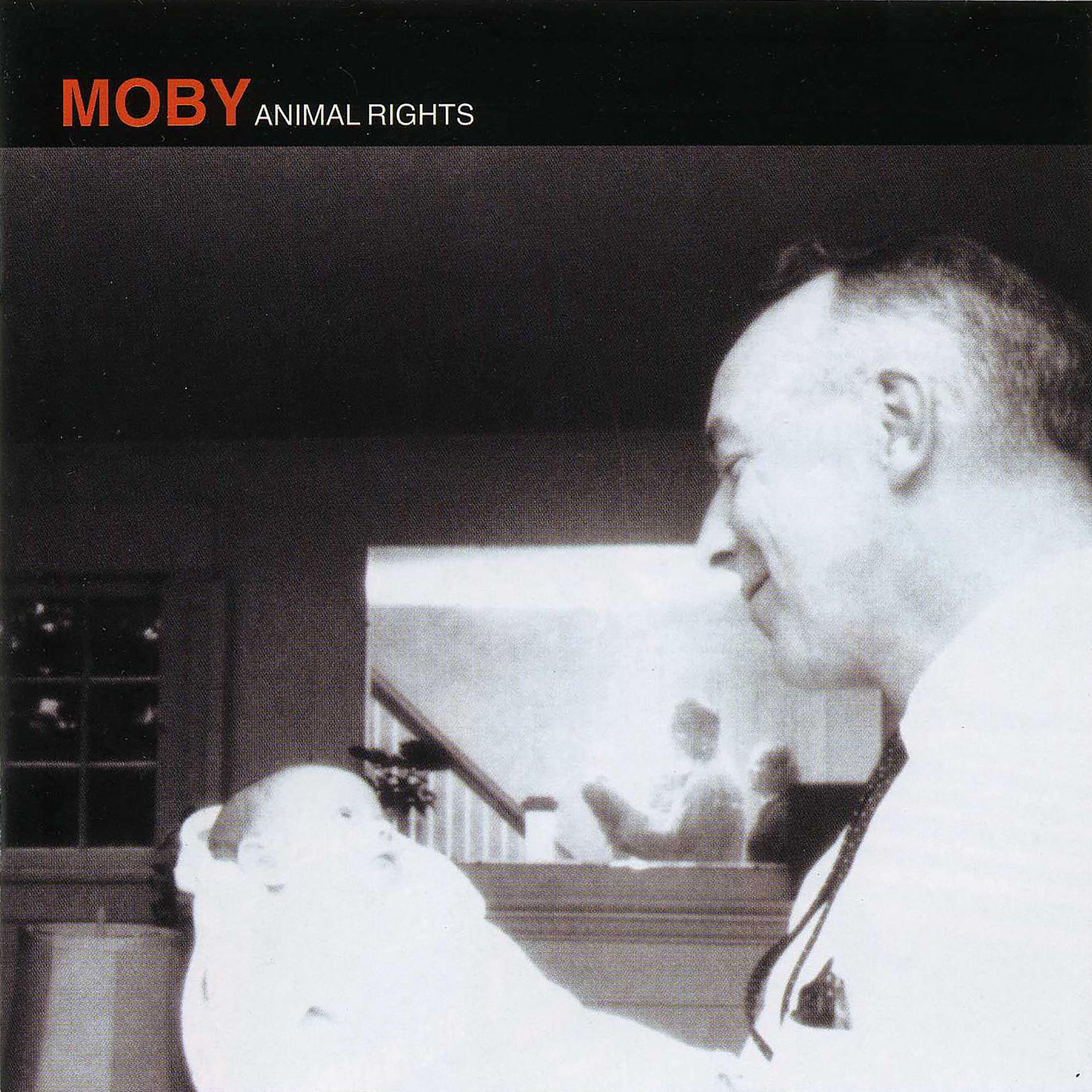 Animal Rights album cover