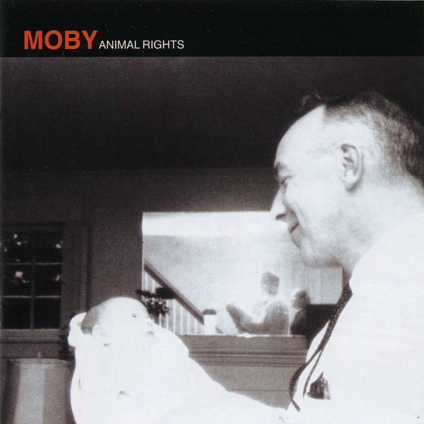 Animal Rights album cover