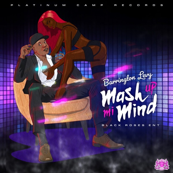 Hey Girl (Mash up Mah Mind) - Single album cover