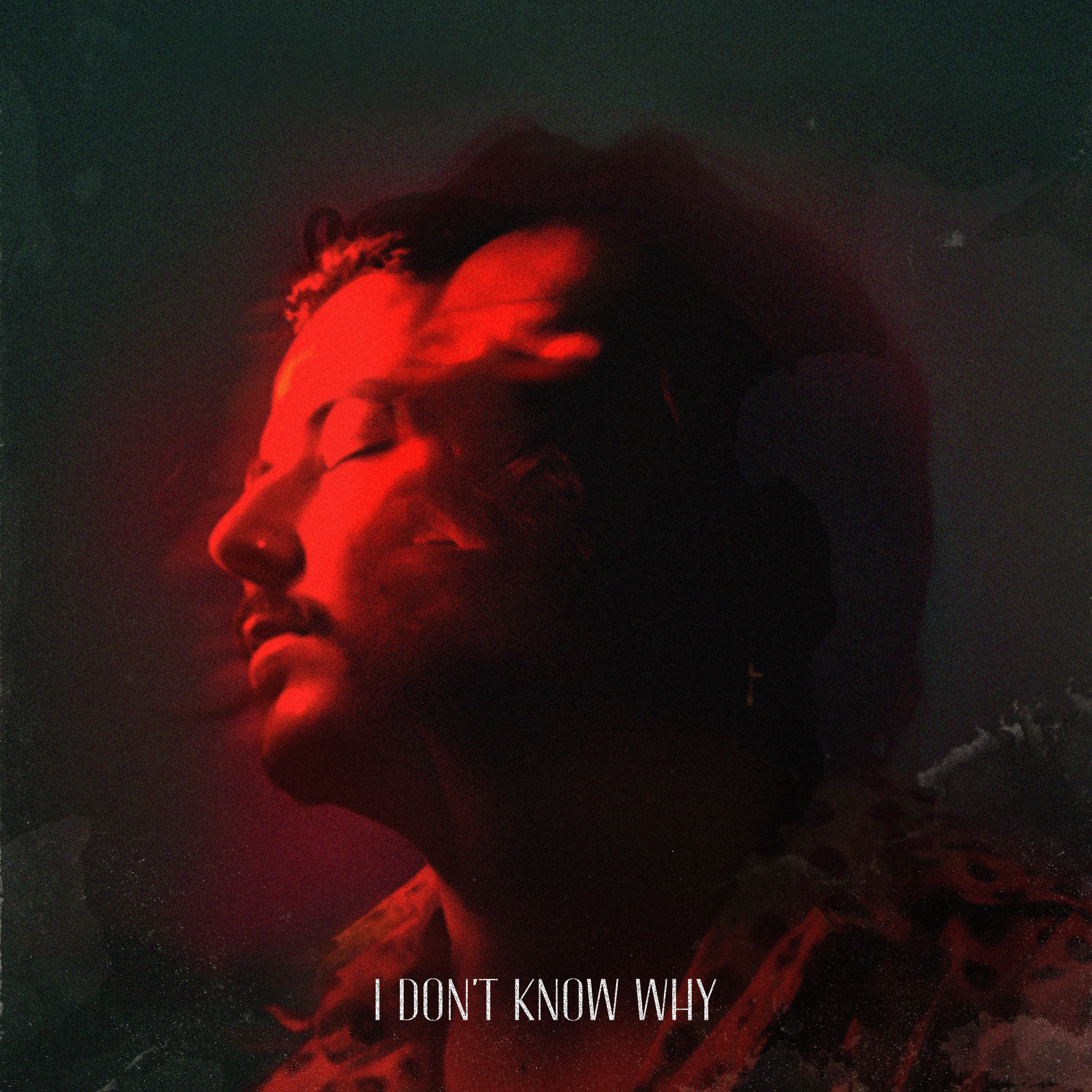 I Don't Know Why - Single album cover