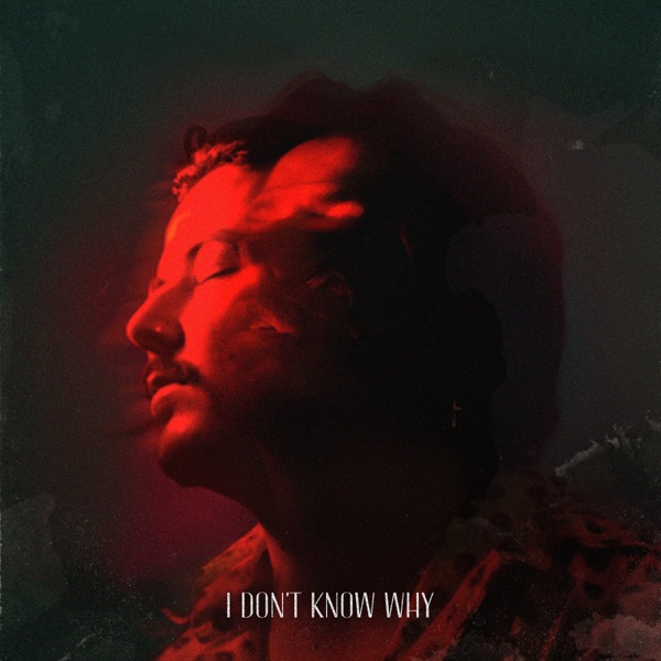 I Don't Know Why - Single album cover