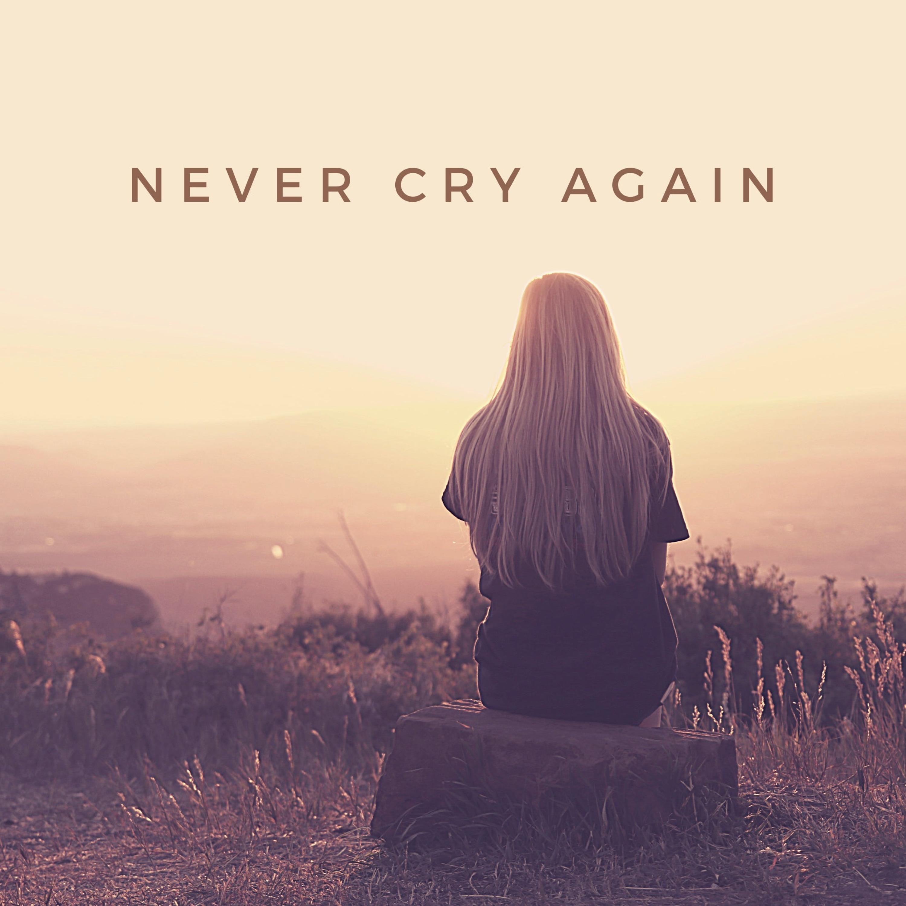 Never Cry Again (Remixes) album cover