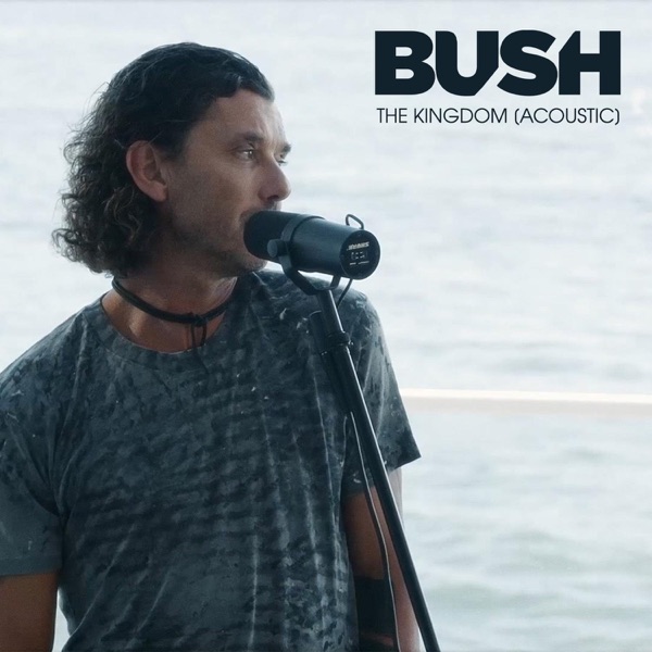 The Kingdom (Acoustic) - Single album cover