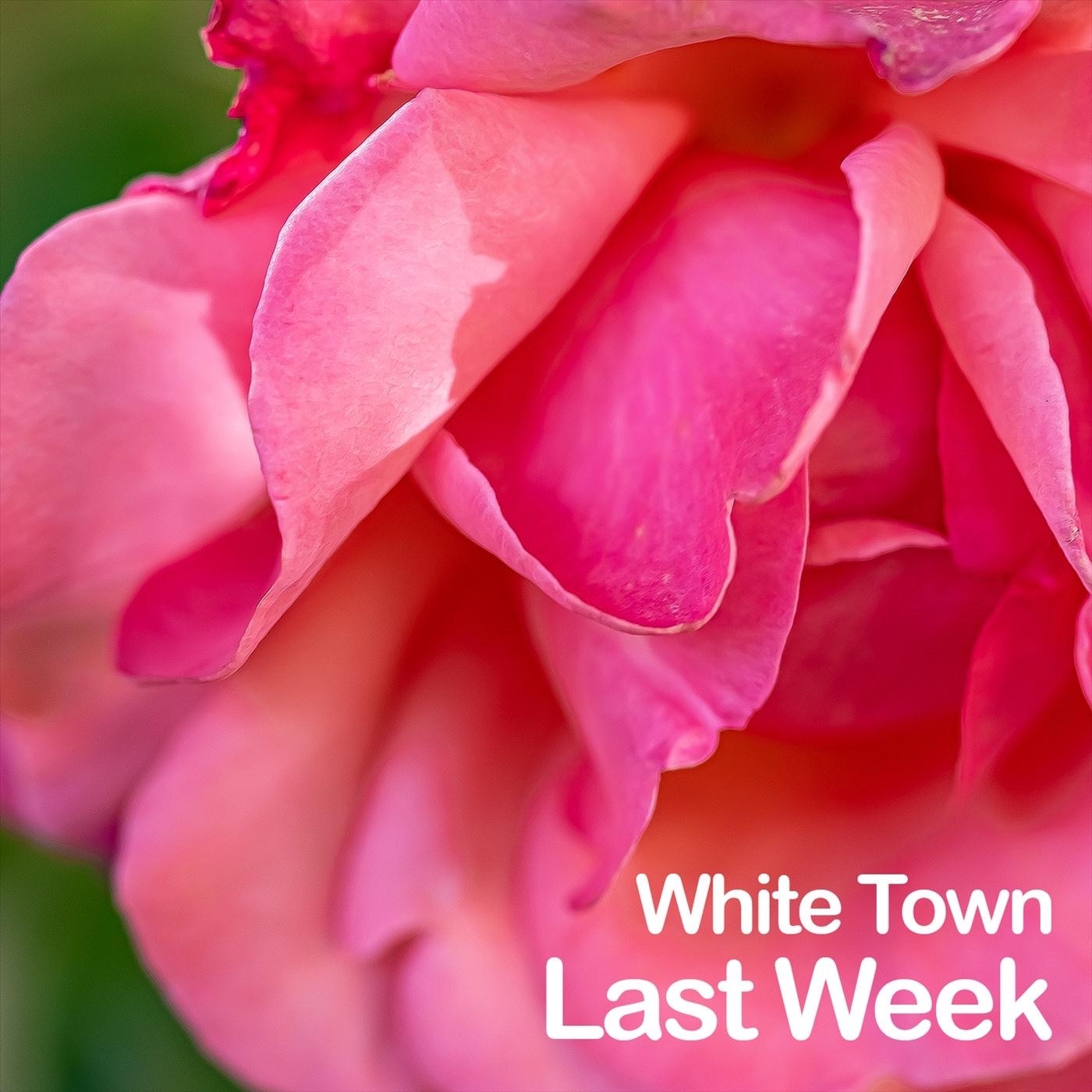 Last Week - Single album cover