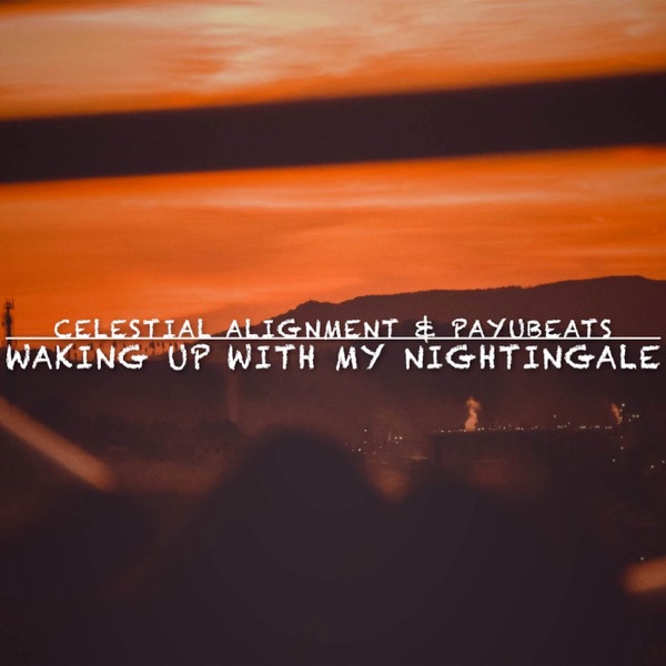 Waking up with My Nightingale - Single album cover