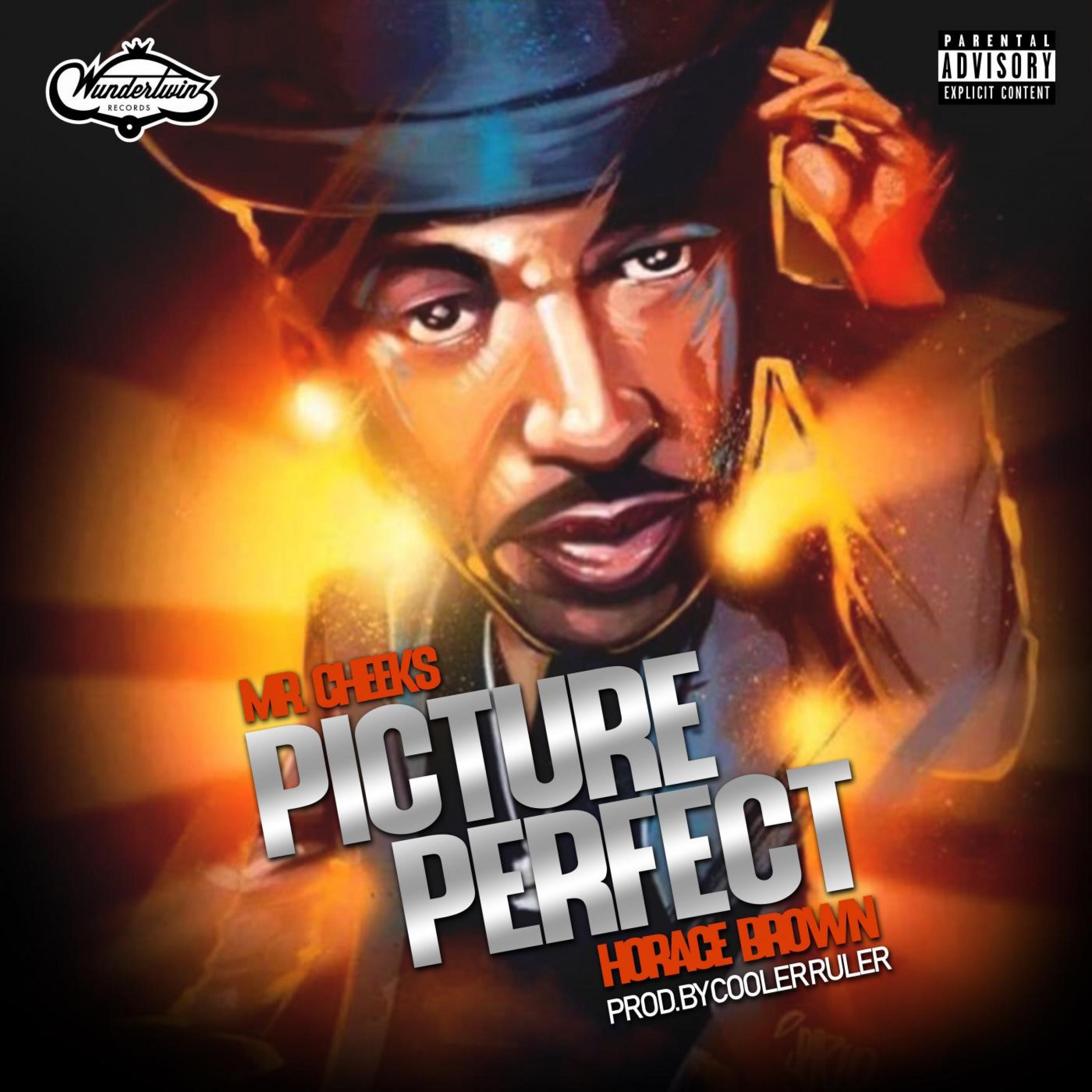 Picture Perfect - Single album cover