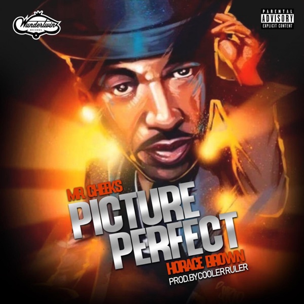 Picture Perfect - Single album cover