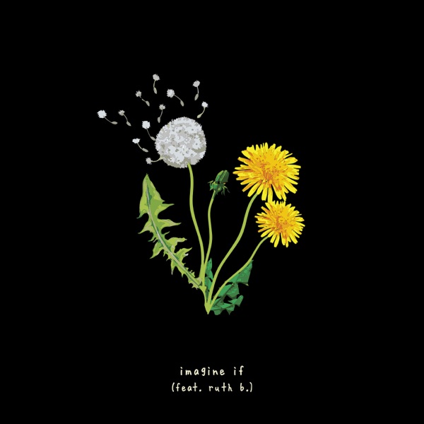 imagine if (feat. ruth b.) - Single album cover