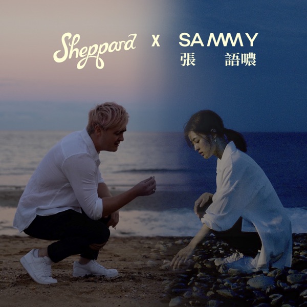Somebody Like You - Single album cover