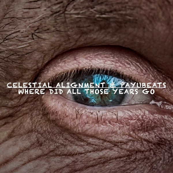 Where Did All Those Years Go - Single album cover