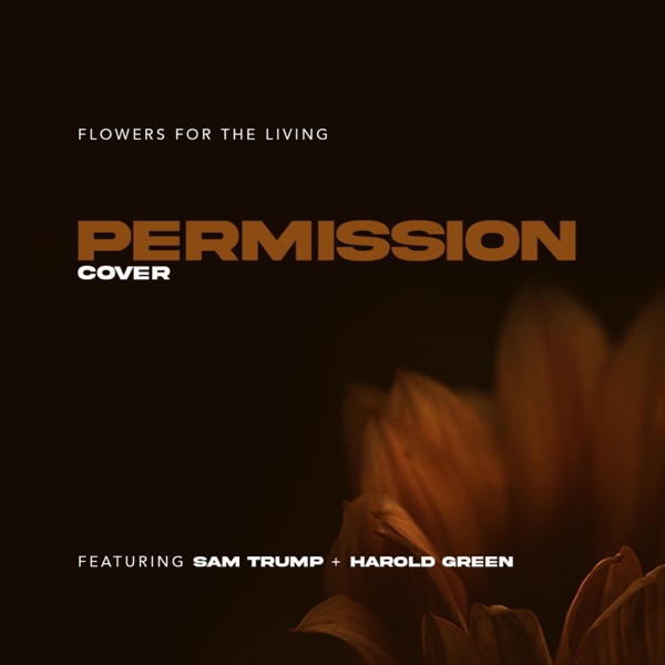 Permission (feat. Sam Trump & Harold Green) - Single album cover