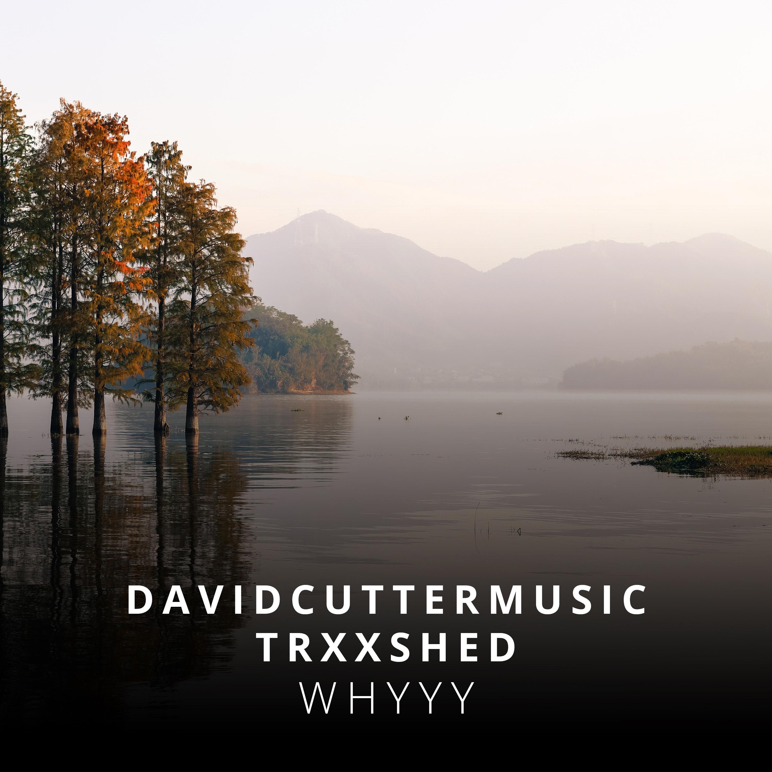 Whyyy - Single album cover