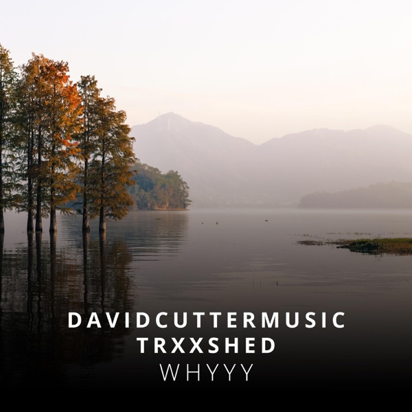 Whyyy - Single album cover