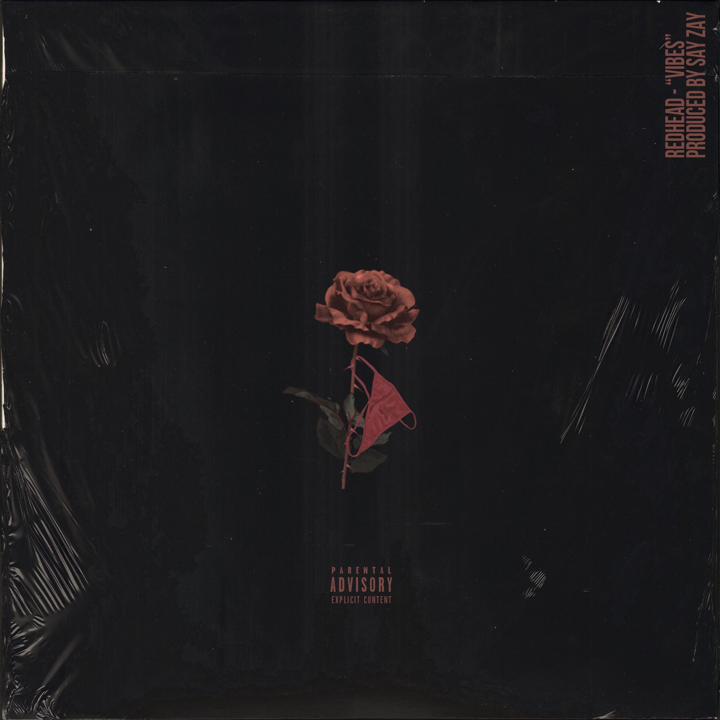 Vibes - Single album cover