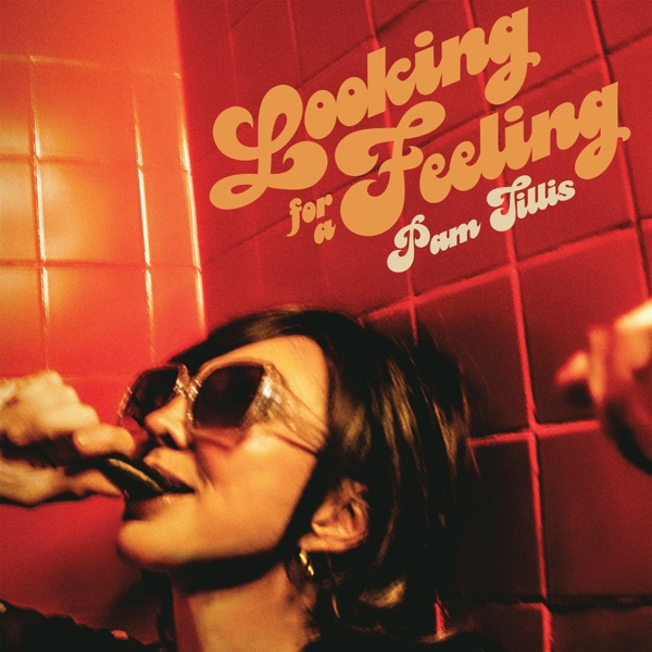 Looking for a Feeling album cover
