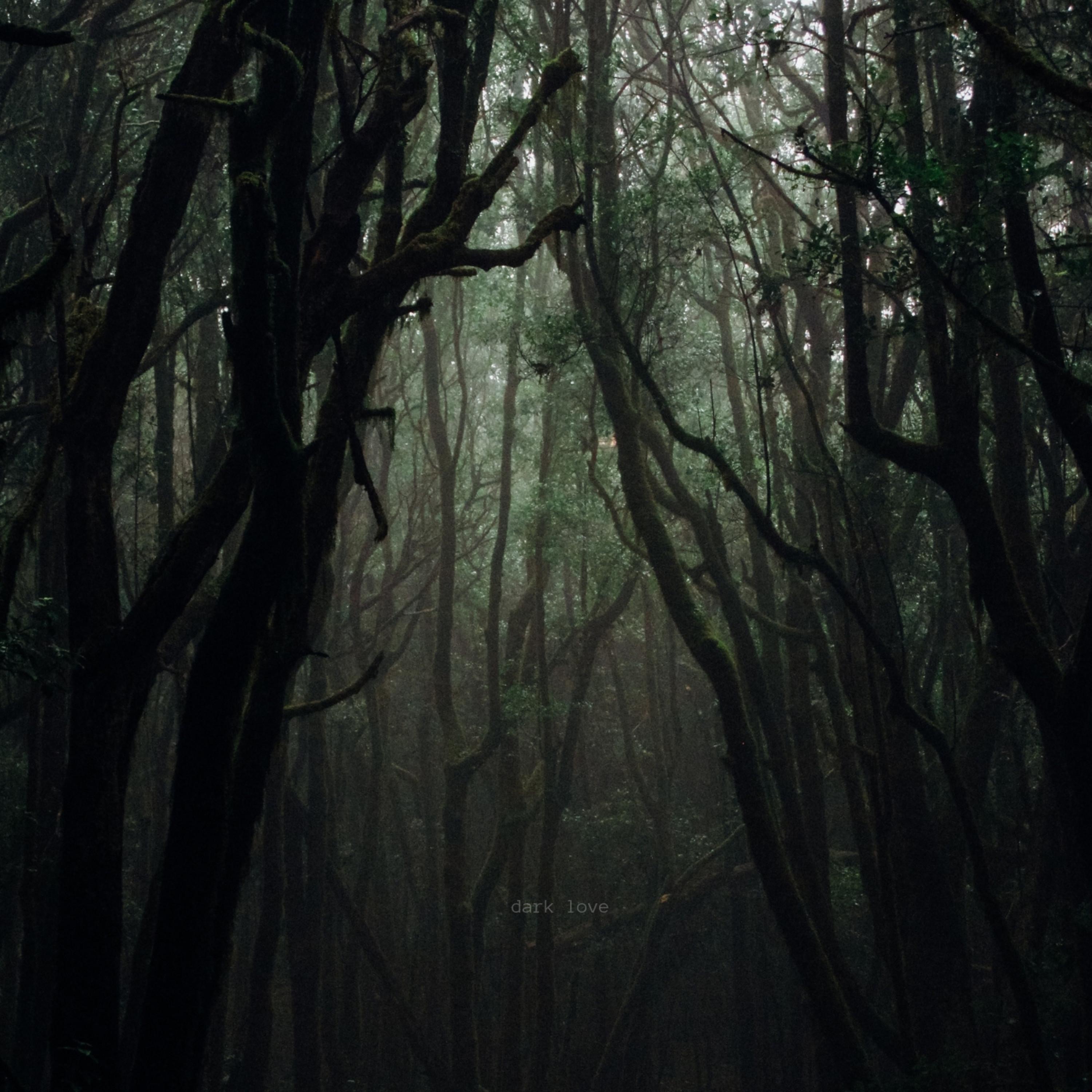 Dark Love - Single album cover