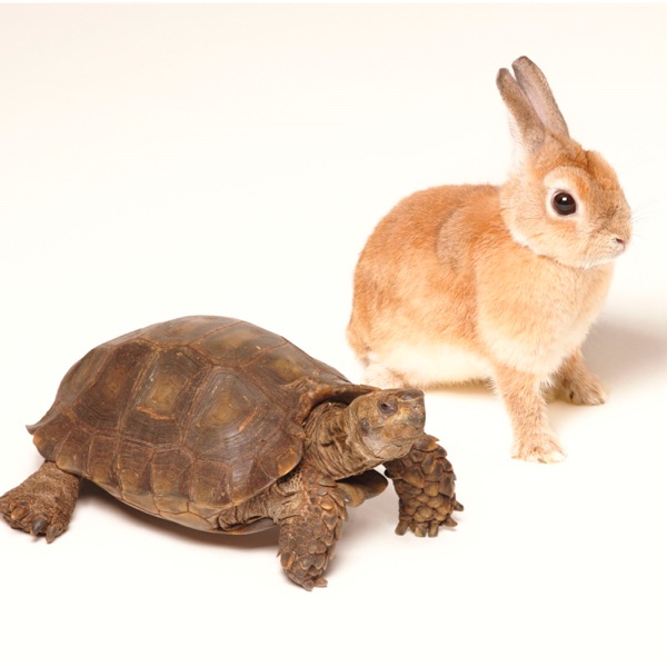 Aruiteikou - EP album cover