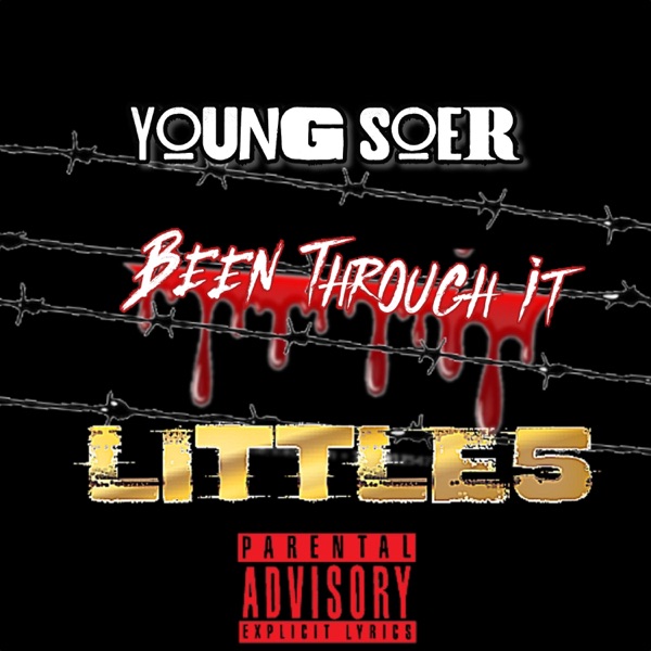 Been Through It (feat. Littles) - Single album cover
