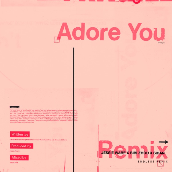 Adore You (Endless Remix) - Single album cover