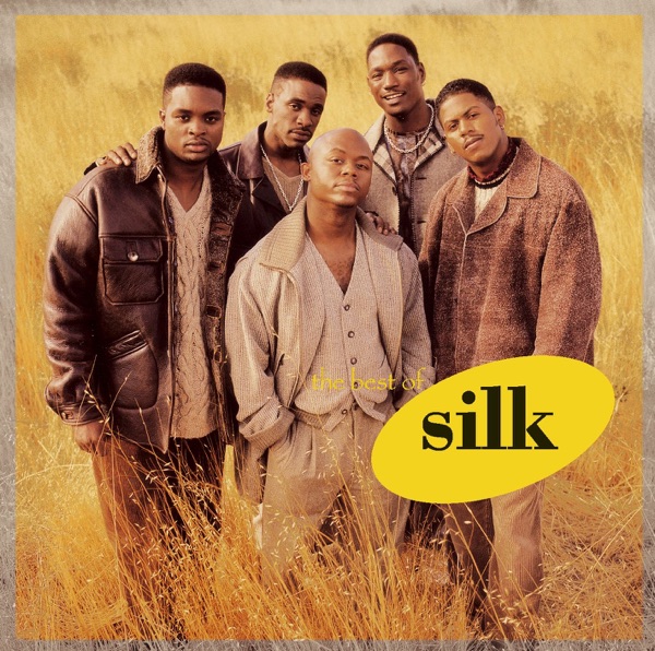 The Best of Silk album cover