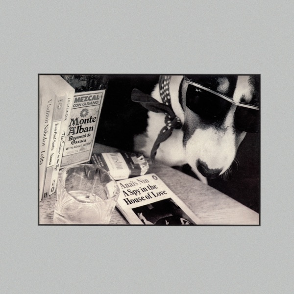 A Spy In The House Of Love album cover