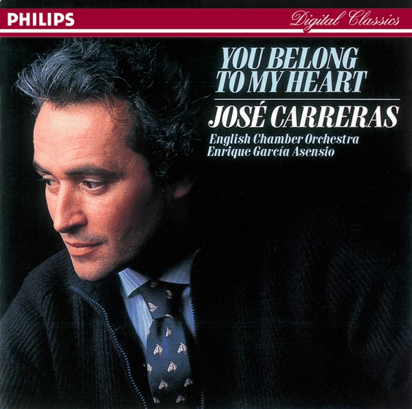 You Belong to My Heart album cover