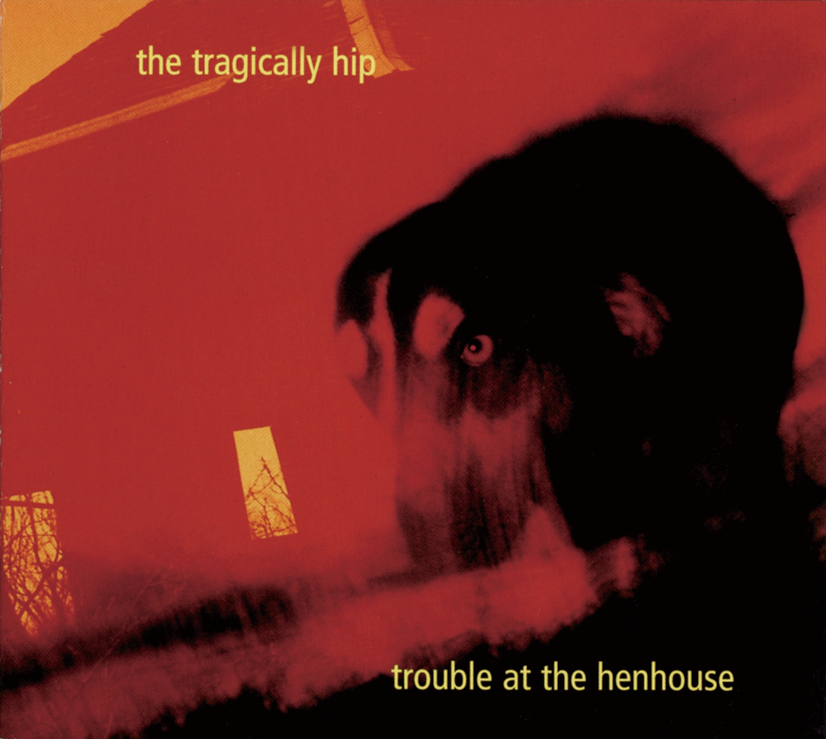 Trouble At The Henhouse album cover