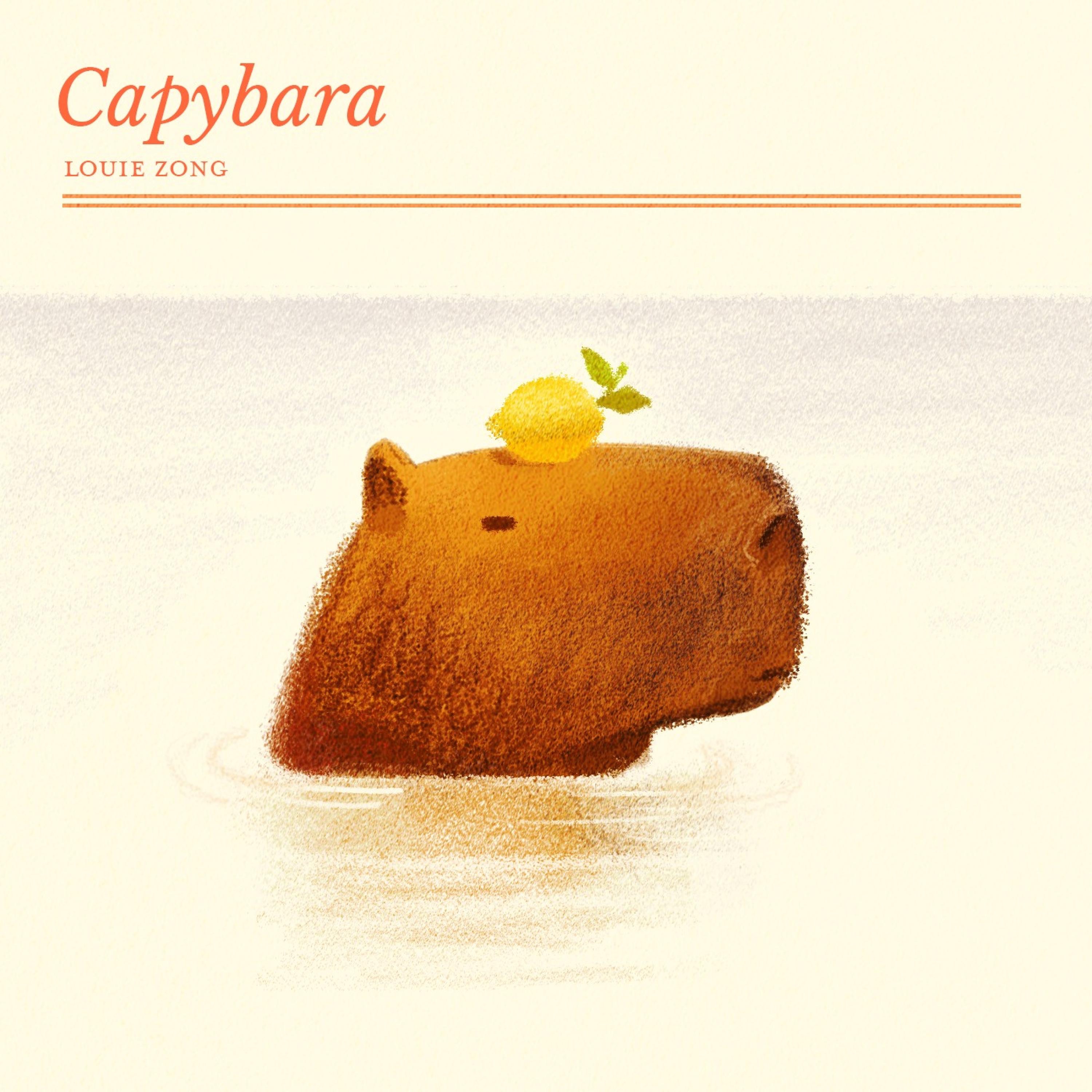 Capybara - EP album cover