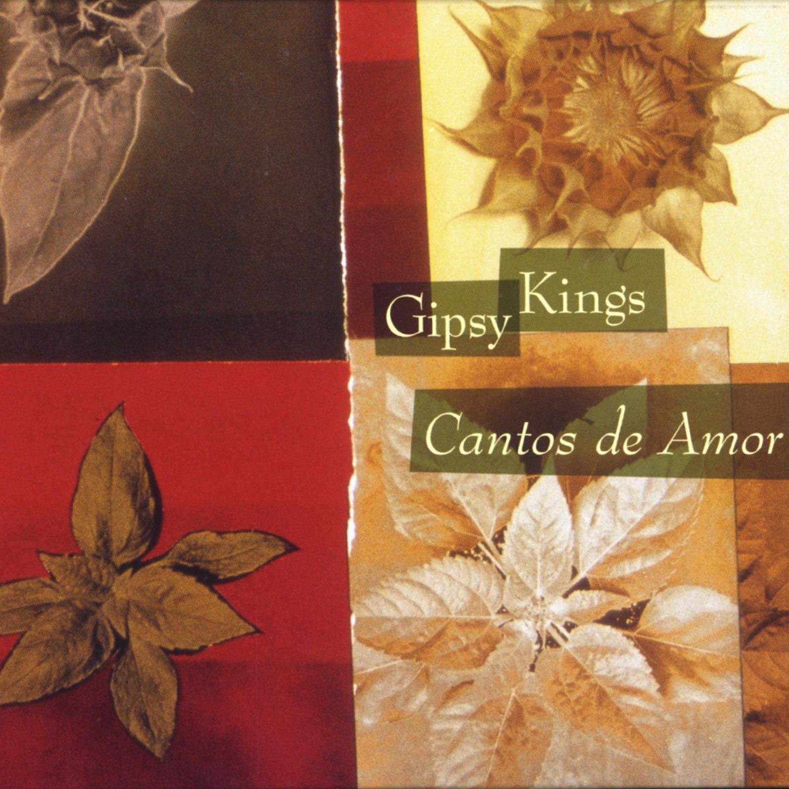 Cantos de Amor / Love Songs album cover