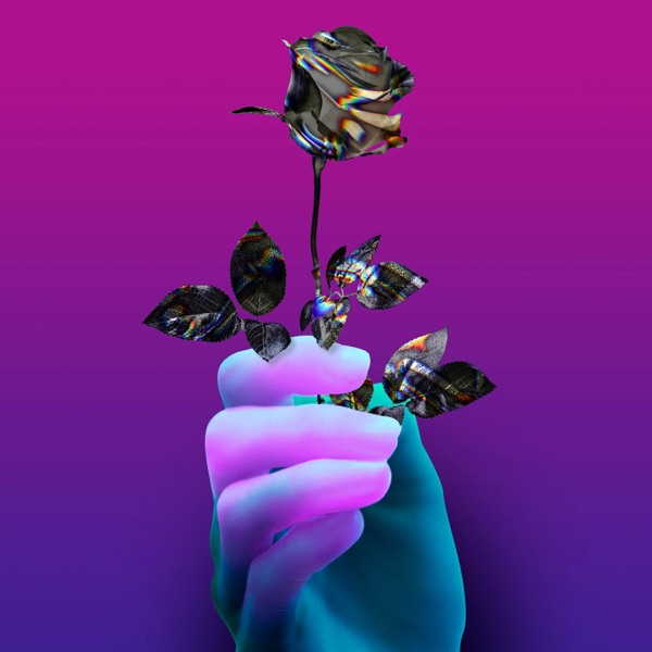 Robot Lover (FM Attack Remix) - Single album cover