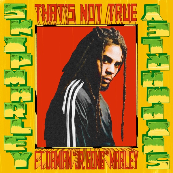 That's Not True (feat. Damian "Jr. Gong" Marley) - Single album cover