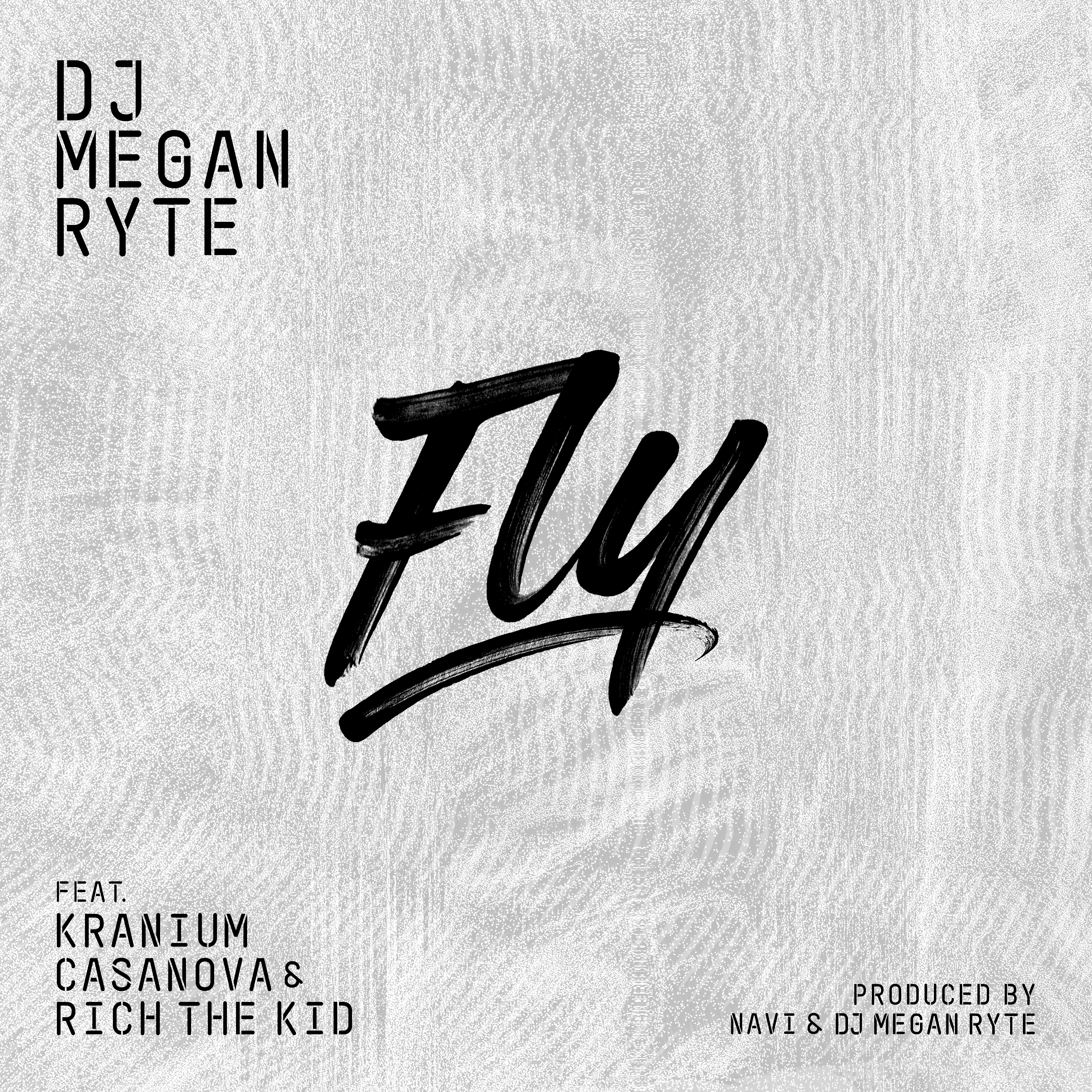 Fly (feat. Kranium, Casanova & Rich The Kid) - Single album cover