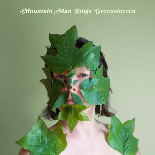 Greensleeves - Single album cover