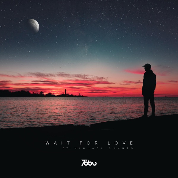 Wait for Love - Single album cover