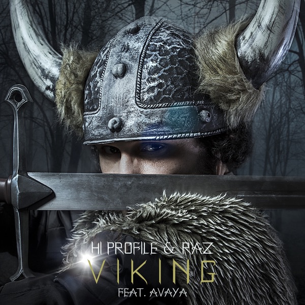 Viking (feat. Avaya) - Single album cover