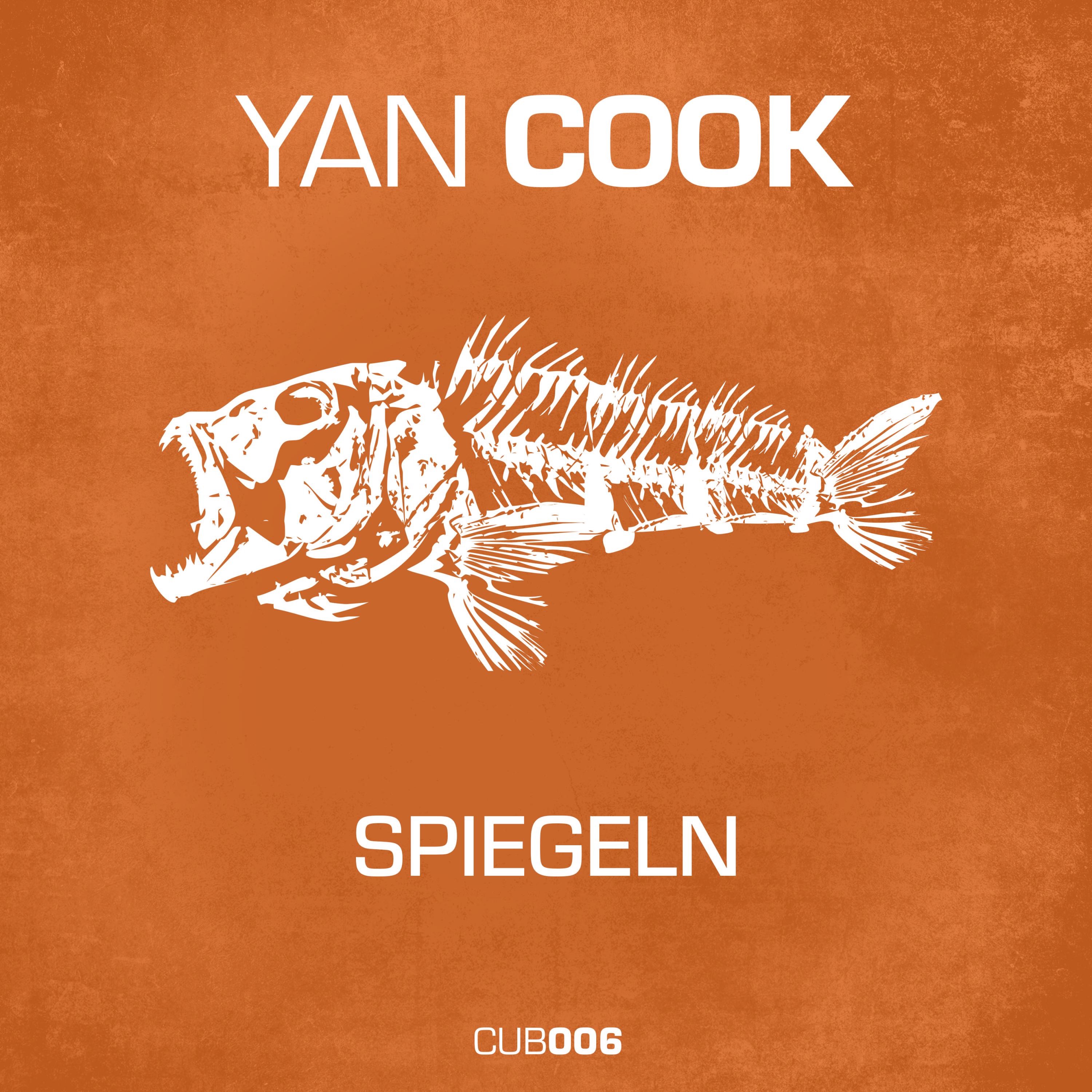 Spiegeln - Single album cover