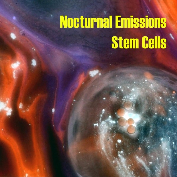 Stem Cells - Single album cover
