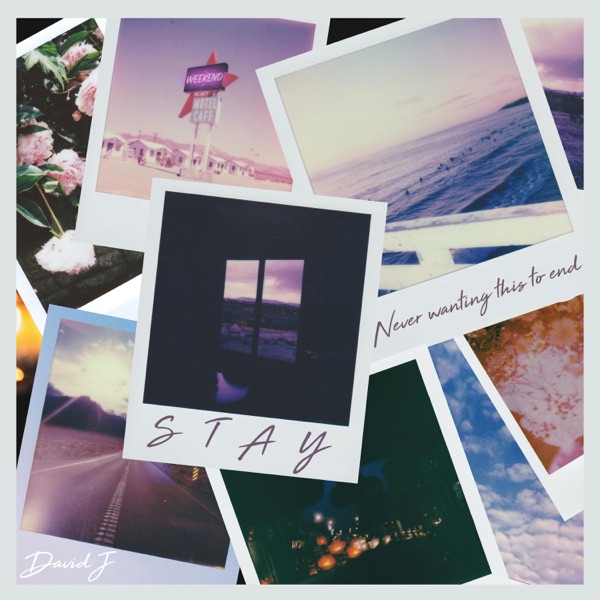 Stay - Single album cover