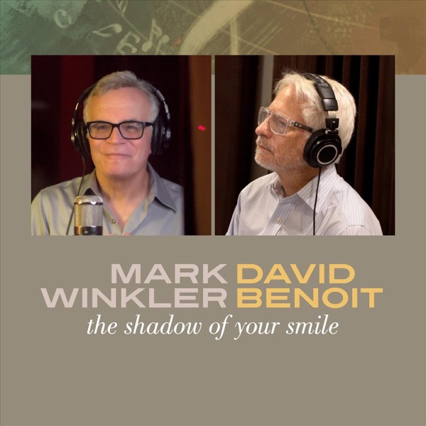 The Shadow of Your Smile - Single album cover