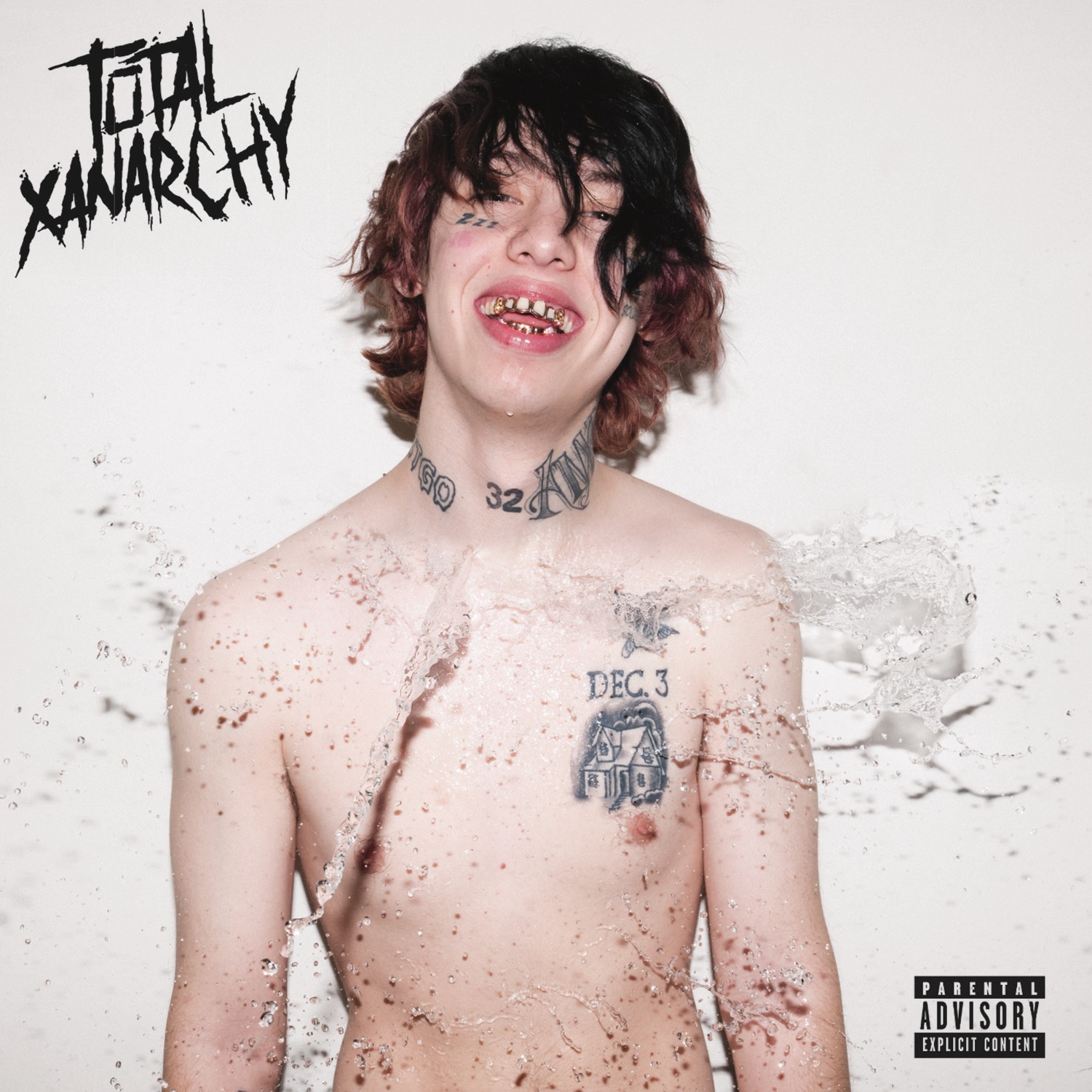 TOTAL XANARCHY album cover
