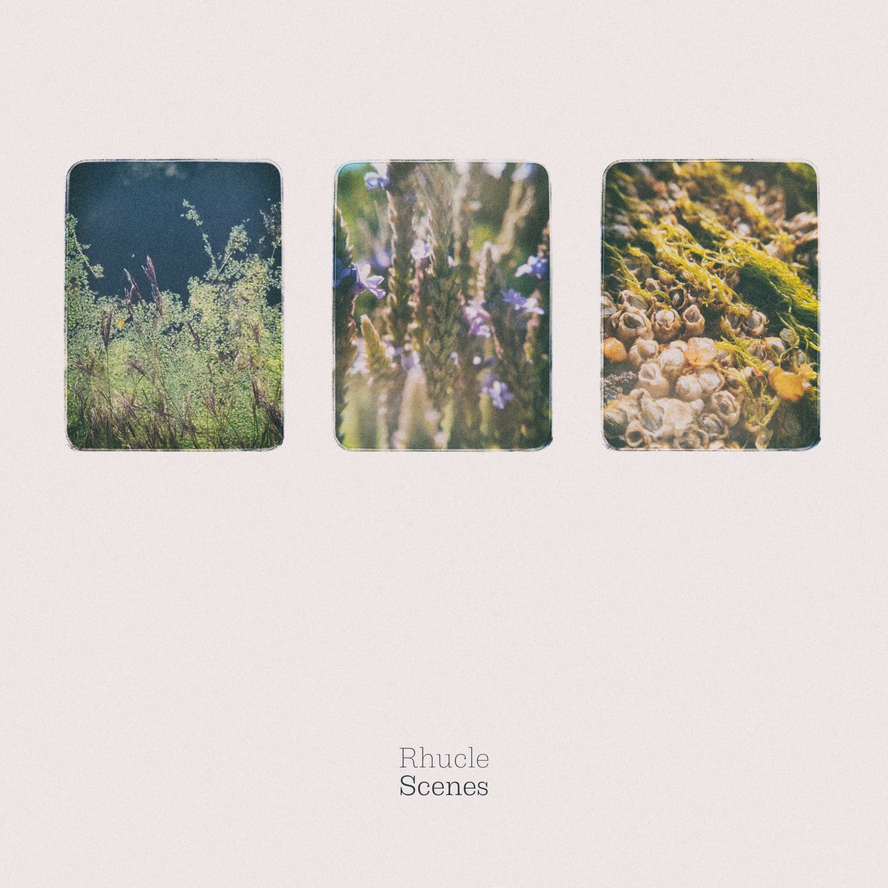 Scenes album cover
