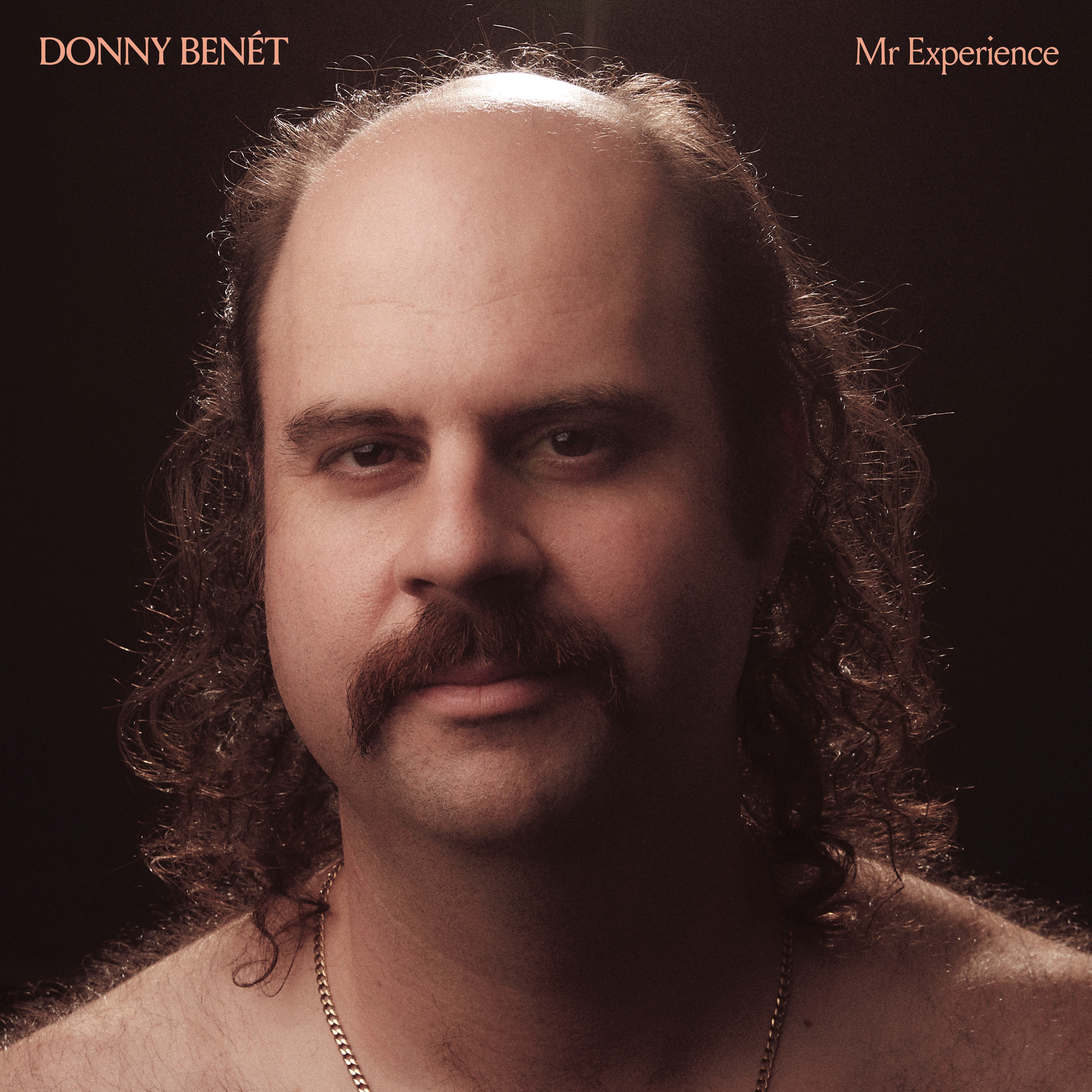 Mr Experience album cover