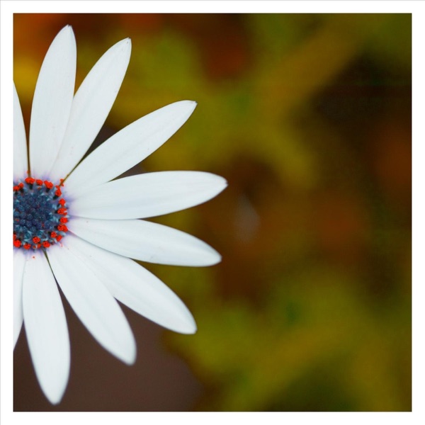 Intersecting Lines - Single album cover