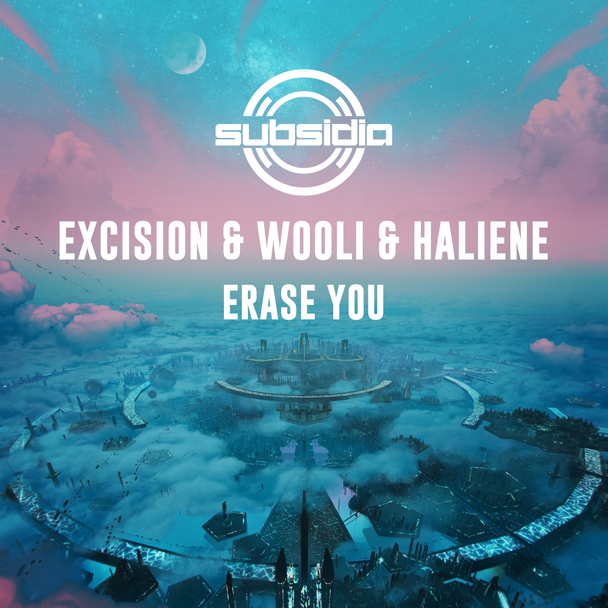 Erase You - Single album cover