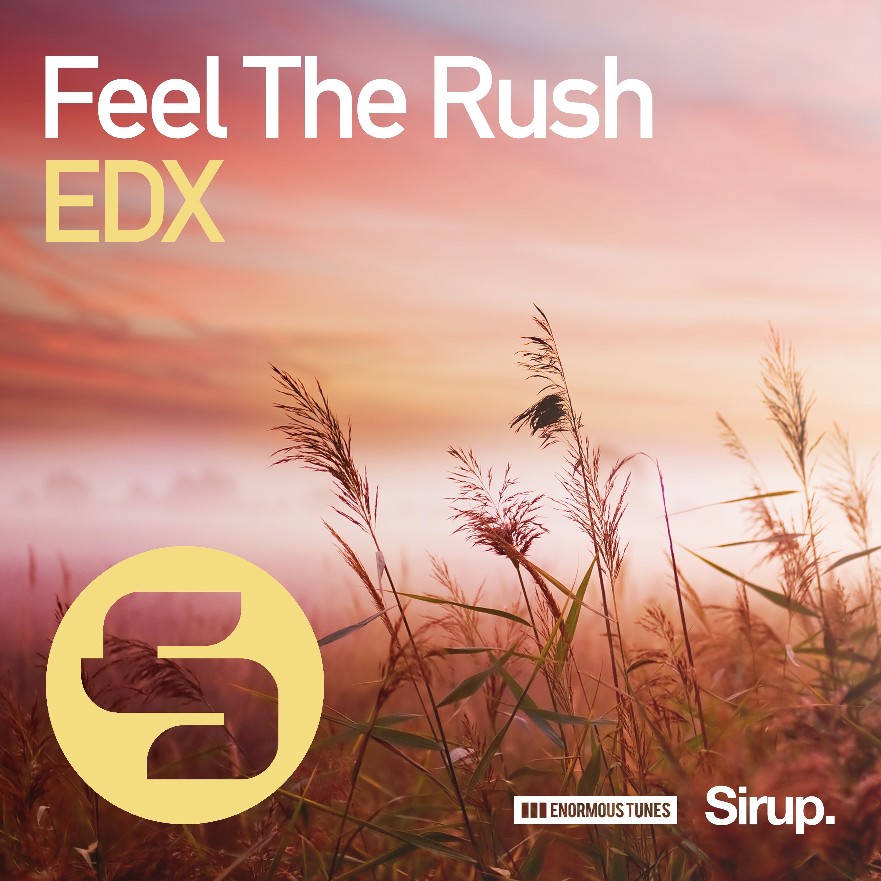 Feel the Rush - Single album cover
