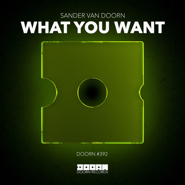 What You Want - Single album cover
